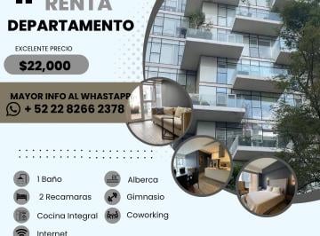 Departamento de 2 habitaciones, Cuauhtémoc · Espectacular Departamento en El Corazón de La Condesa
