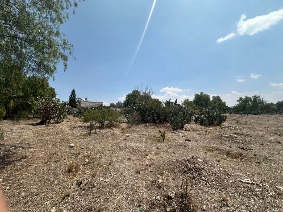 Land for Sale - Entrance to Palmillas
