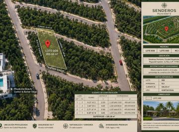 Terreno / Lote , Solidaridad · Terreno con Financiamiento a 12 Meses Trato Directo