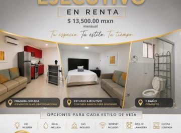 Departamento de 1 habitación, Juárez · Estudio Ejecutivo Amueblado en Renta
