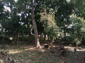 Terreno / Lote , Centro · Vendo Terreno en Gaviotas Sur, Sector Coquitos, Villahermosa, Tabasco.
