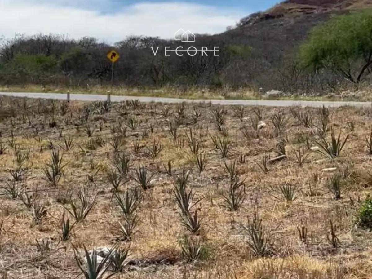 Land for Sale in Villa Corona, Jalisco