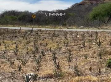 1 · Terreno en Venta, Villa Corona, Jalisco