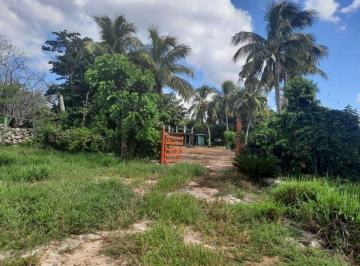 696b261c532141ea3603eec7bf35cd8664d2cce4ae99a3e6ab9e75421e508215 · Rancho en Tizimin 80 Ha