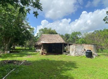 72a6d87e6a15965532799f411444c13535b5c358d2c0bb1bb67569b5d5cbc1bc · Rancho Cerca de Merida 10 Ha en Teabo Yucatan Sobre Carretera Propiedad