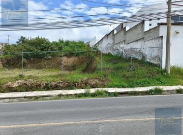 Terreno / Lote · 444m² · Terreno en Pueblo La Trinidad Tepehitec