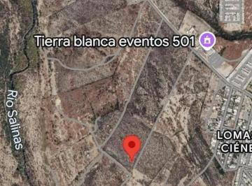 1 · Terreno en Venta en Comunidad Anastacio, Cienega de Flores