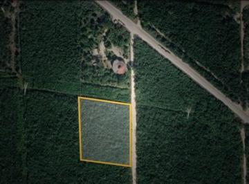 Terreno / Lote · 10000m² · Terreno - Alfredo V. Bonfil
