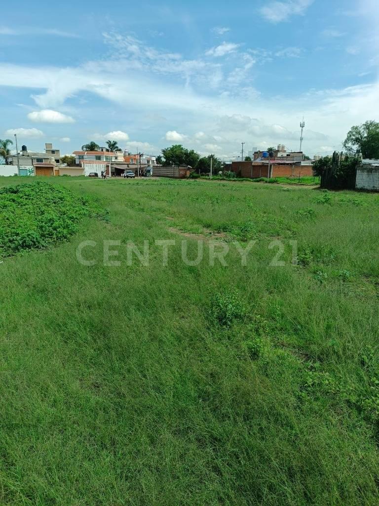 Renta de Terreno Para Uso Comercial en San Lorenzo Almecatla