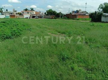 Terreno / Lote · 1112m² · Terreno en Renta Para Uso Comercial