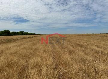 Foto principal · Campo Agricola en Venta Bacame Etchojoa Sonora