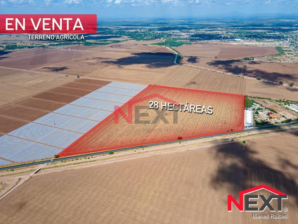 Agricultural Land for Sale in Navojoa, Sonora