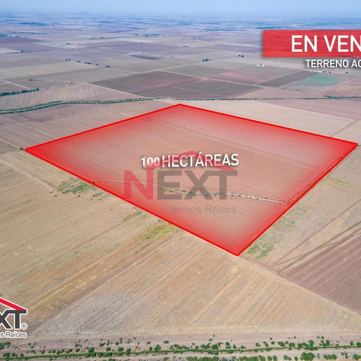 Navojoa Agricultural Ranch for Sale, Sonora