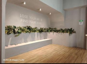 Local comercial , Cuajimalpa de Morelos · Renta de Local Comercial Giro Hidoneo Para Gym o Pilates
