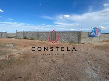 Terreno / Lote · 5000m² · Terreno en Carretera Jimenez Km. 5.9