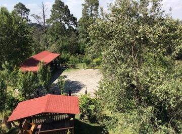 Quinta de 6 habitaciones, Tlalpan · Oportunidad de Inversión Única en Santo Tomas Ajusco, Tlalpan.