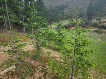 Terreno / Lote , Arteaga · Terrenos Campestres en Mesa de Las Tablas en Arteaga Coahuila