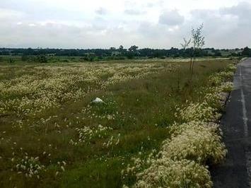 Terreno / Lote · 2147483647ha · 1 Recámara · 100 Estacionamientos · Se Vende Terreno a 15 Minutos del Aeropuerto de Santa Lucia