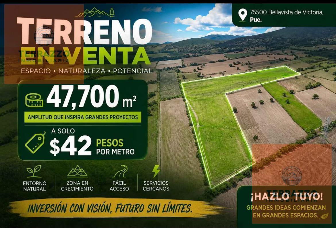 Land for Sale Located in Palmar de Bravo, Puebla