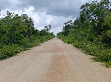 Terreno / Lote , Ucú · Terreno 10*50 en Senda Ucú, Yucatán.