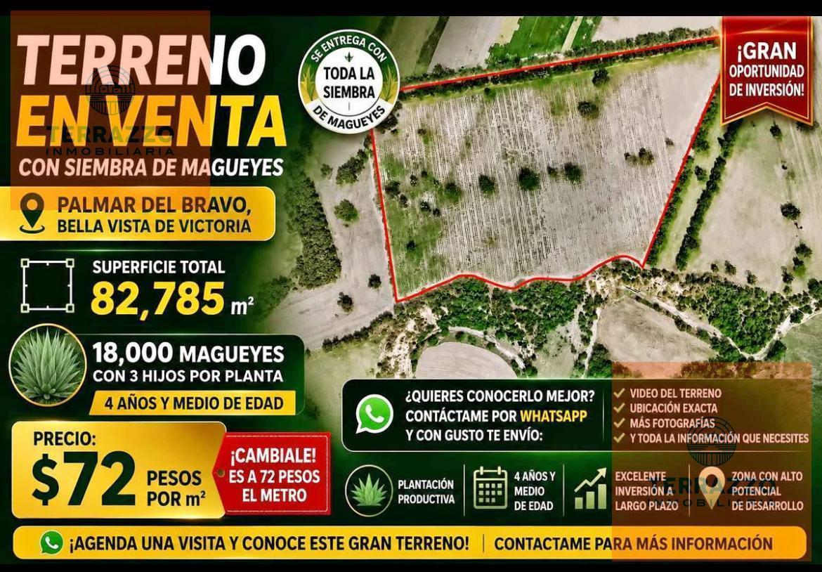 Land for Sale in Bella Vista de Victoria, Palmar de Bravo, Puebla
