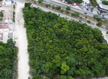Terreno / Lote , Benito Juárez · Terreno en Venta en Av Álamos, Cancún