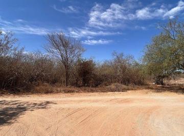 Terreno / Lote , La Paz · Terreno Rustico en Venta en San Pedro
