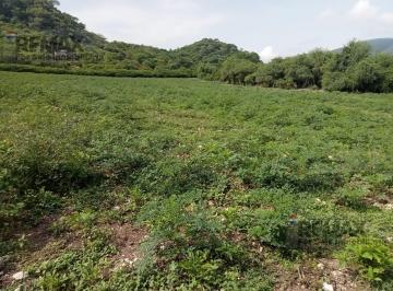 Venta de terreno escriturado, Tucumán, Tlaltizapán, Morelos · Venta de Terreno Escriturado, Tucumán, Tlaltizapán, Morelos…clave 5843