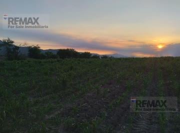 Terreno / Lote · 93426m² · Venta de Terreno Rústico, 93,426 m², en Jojutla, Morelos…clave 6089