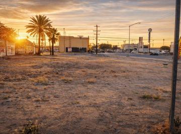 Terreno comercial · 900m² · Terreno Comercial en Renta de 900 m² en San Luis Rio Colorado - (4)