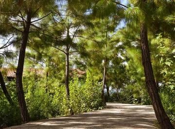 Terreno / Lote , Tapalpa · Terreno Tapalpa. Exclusividad y Confort, 100% Bosque