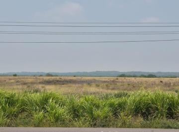 Terreno / Lote · 190000ha · Carretera Alvarado - Veracruz, a 2 Km de La Piedra, 2terrenos en Venta a Pie de Carretera.
