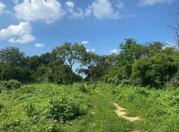 e2e3bbb3a2e3ad20ba9cdf6fcbb73fd42fb5a8d01c52309bf15dddbf857700d5 · Terreno en Venta en Komchen Merida Cerca Carretera Progreso