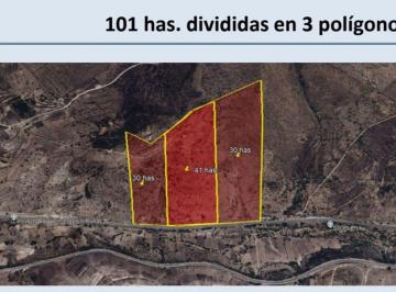 Terreno comercial , Tepeji del Río de Ocampo · Inversion Terreno Estrategico en Venta 101 Ha en Tepeji del Rio, Hidalgo.
