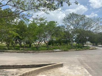 Terreno / Lote , Mérida · Terreno Comercial en Renta Junto a Glorieta