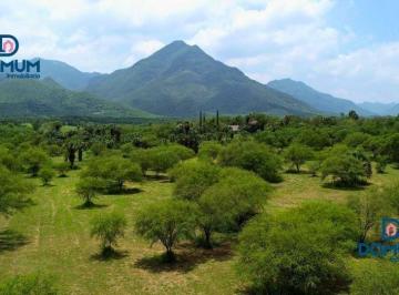 Terreno / Lote · 1500m² · Terrenos Campestres de 1,500 m² a 24 Km de Santiago N. L.
