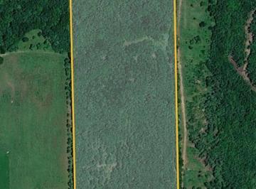 Terreno / Lote · 92000m² · Terreno en Montemorelos
