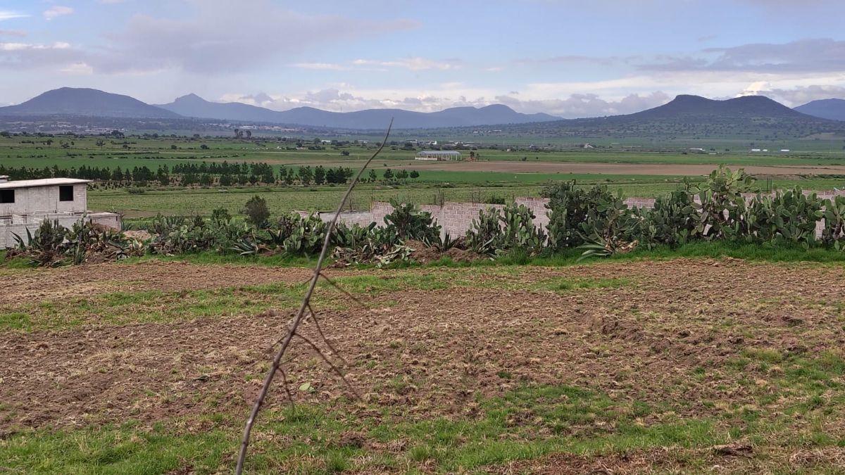 Land Plot of 14,182 m&sup2; in Axapusco | Excellent Price per m&sup2;