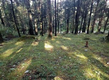 Terreno / Lote , Naucalpan de Juárez · Terreno en Fraccionamiento Campestre Villa Alpina