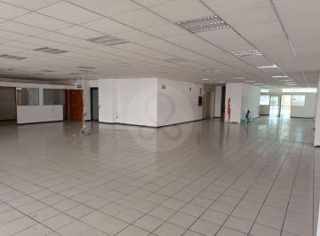 135818.jpg · Oficina en Renta en Anáhuac I Sección