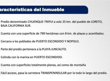 Terreno / Lote · 7990000ha · Terreno en Venta Chienque Tripui Puerto Escondido Bcs