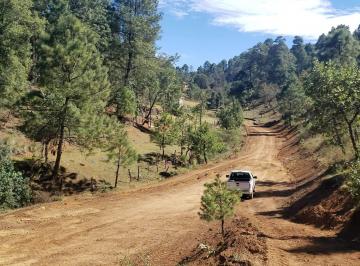 Terreno / Lote de 4 habitaciones, Tapalpa · Por Liquidación Patrimonial Privada, Se Ofrece Predio Boscoso en La Varillita /