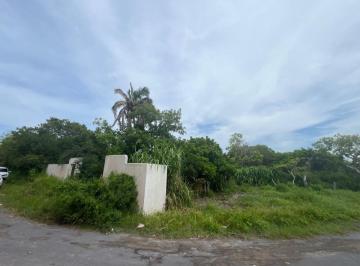 Terreno / Lote , Alvarado · Terreno en Venta Mata de Uva, Alvarado, Veracruz