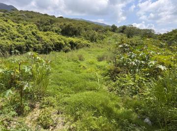 Terreno / Lote , Chapala · En Venta Para Fraccionamiento, Terreno Carretera Chapala - Ajijic (Libramiento) Jalisco