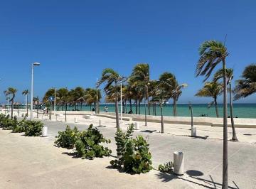 Terreno / Lote · 611m² · Terreno en Renta Sobre Malecon de Progreso Estacionamiento, palapa Baños