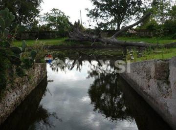 Rancho · 6000m² · 3 Recámaras · 15 Estacionamientos - Remax Si · Venta Rancho Polotitlan Edo de Mex