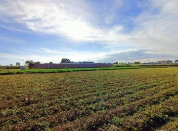 Terreno / Lote , Atlixco · Terreno en Venta en Tolometla, Atlixco