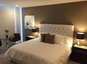 Departamento de 1 habitación, Miguel Hidalgo · Departamento Amueblado en Renta Plaza Carso II, Ampl Granada Miguel Hidalgo, Cerca Polanco