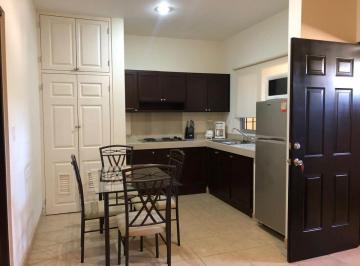 Departamento de 1 habitación, Los Cabos · Departamento en Renta en San José del Cabo