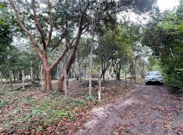 Terreno / Lote , Bacalar · Terreno Escriturado en Área Serena y Estratégica Listo Para Disfrutar